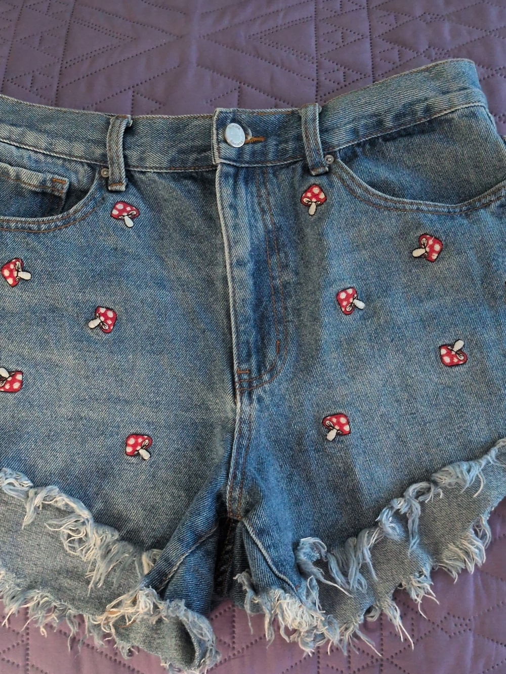 Denim Jean Shorts with Red Mushroom Embroidery, High Rise Size/29